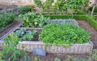 a beautiful garden with healthy soil makes the most nutritious foods
